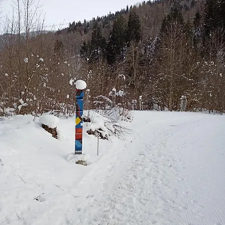 Casa Steilalva - Grosszuegiges Fuer Erholsamen Familienurlaub Chalet Surrein