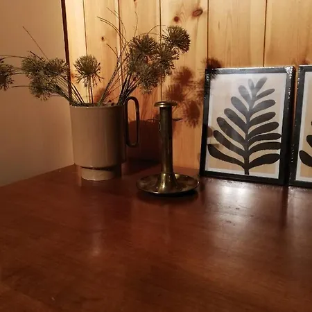 샬레 Casa Steilalva - Grosszuegiges Fuer Erholsamen Familienurlaub Surrein